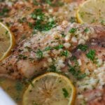 butter garlic tilapia baked with oregano and thyme